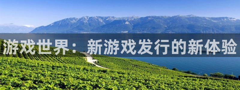 亿万28官网平台会黑款吗：游戏世界：新游戏发行的新体验