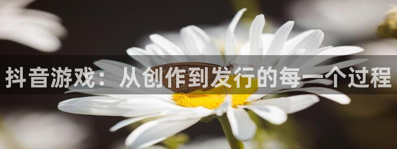 亿万28子公司怎么样知乎：抖音游戏：从创作到发行的每一个过程