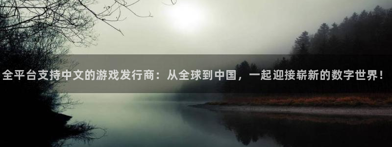 亿万28官网注册地址：全平台支持中文的游戏发行商：从全球到中国，一起迎接崭新的数字世界！