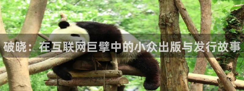 陕西亿万28子文化创意骗局：破晓：在互联网巨擘中的小众出版与发行故事