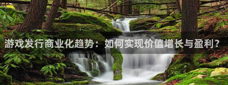 亿万28官网登录注册：游戏发行商业化趋势：如何实现价值增长与盈利？