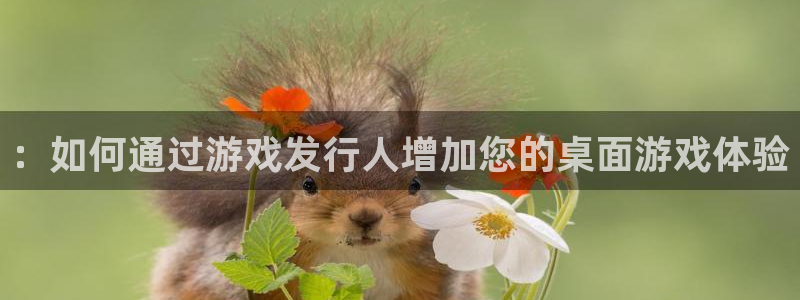 亿万28科技：：如何通过游戏发行人增加您的桌面游戏体验