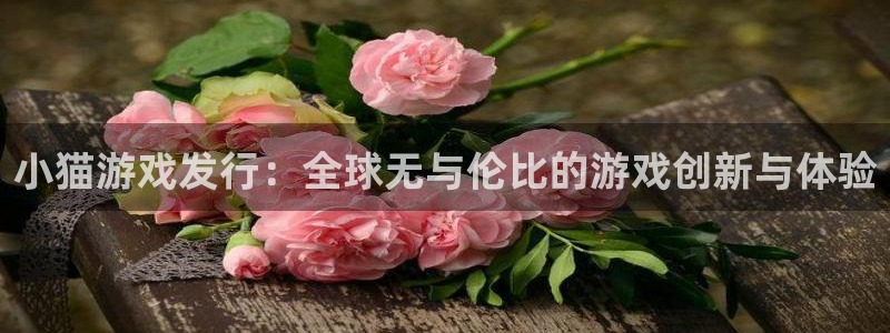 亿万28品牌logo