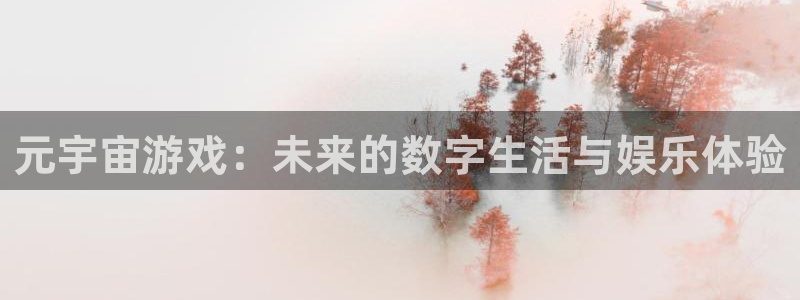 亿万28官网代理开号多少钱：元宇宙游戏：未来的数字生活与娱乐体验