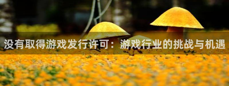 亿万28官网注册地址在哪里：没有取得游戏发行许可：游戏行业的挑战与机遇