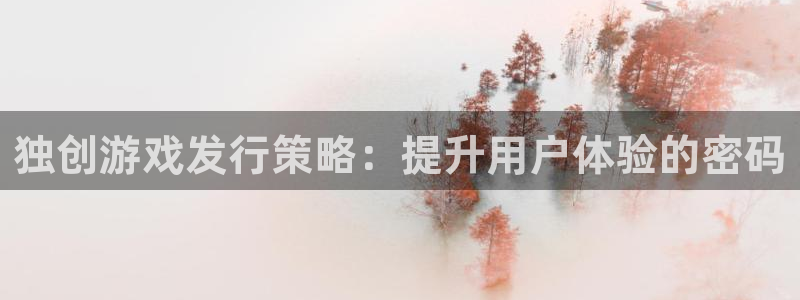 陕西亿万28子文化创意有限公司1：独创游戏发行策略：提升用户体验的密码