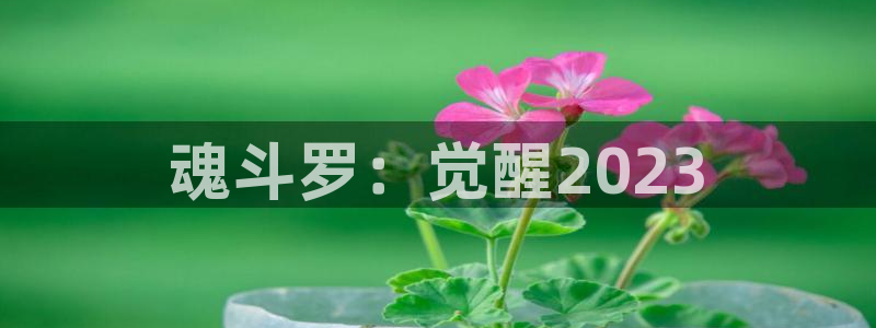 亿万28官网挂机项目怎么样