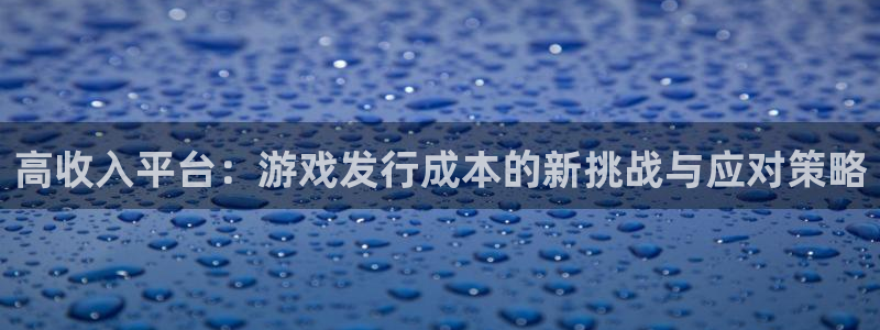 亿万28怪兽：高收入平台：游戏发行成本的新挑战与应对策略