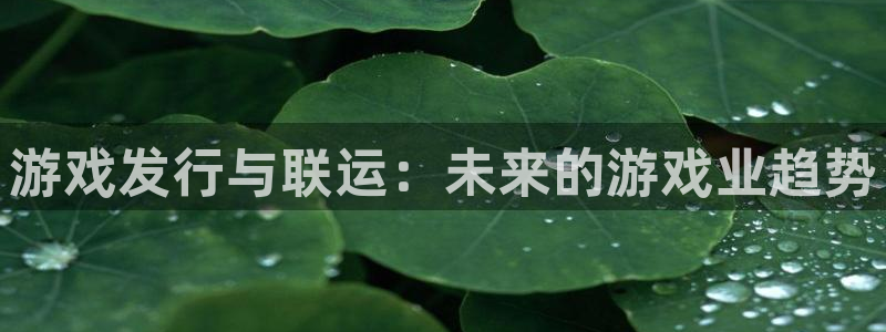 亿万28官网注册平台怎么注册账号