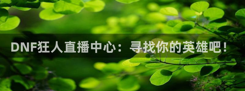 山猫体育直播在线观看免费：DNF狂人直播中心：寻找你的英雄吧！