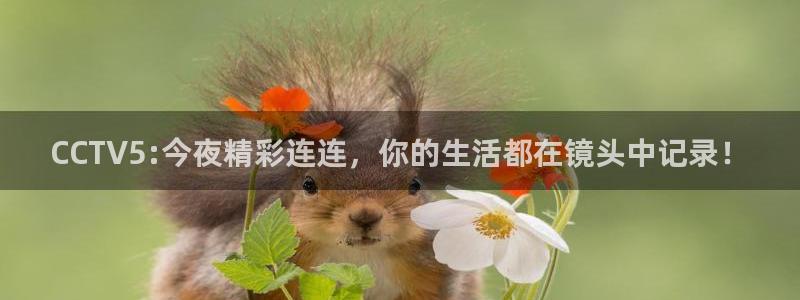 山猫体育直播苹果下载