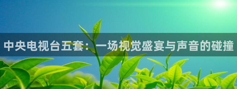 山猫直播足球在线直播