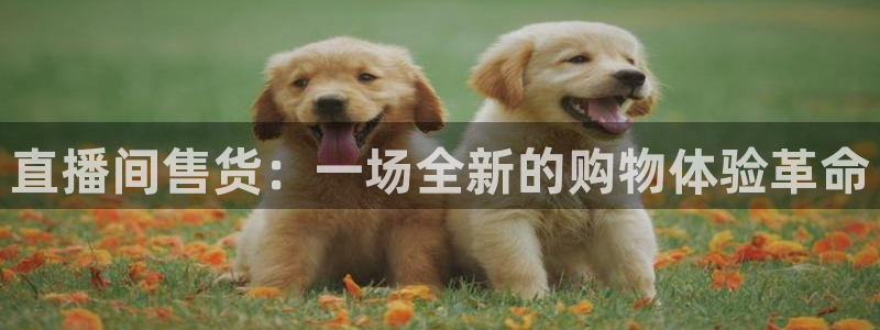 山猫足球免费直播高清视频大全