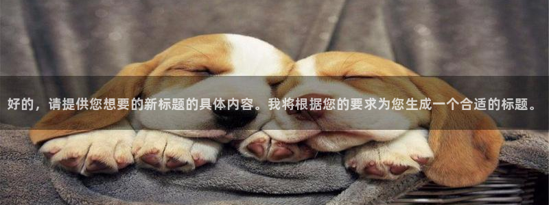 山猫直播体育篮球