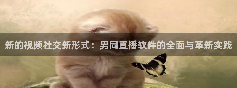 山猫体育免费看