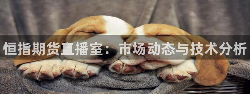 山猫体育免费赛事直播