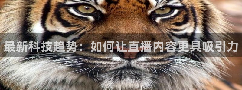 山猫直播足球免费观看高清：最新科技趋势：如何让直播内容更具吸引力