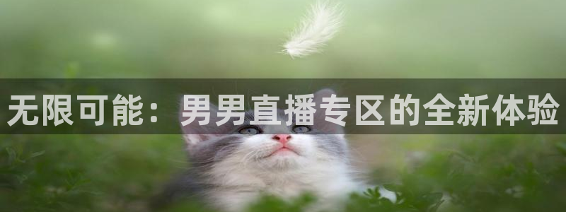 山猫体育免费直播赛事