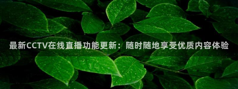 山猫体育篮球直播：最新CCTV在线直播功能更新：随时随地享受优质内容体验