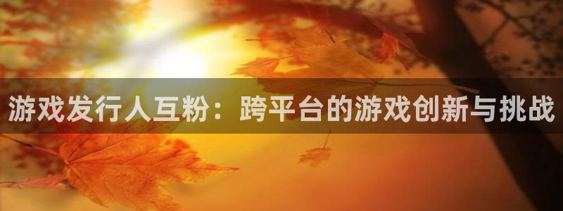 亿万28主管：游戏发行人互粉：跨平台的游戏创新与挑战