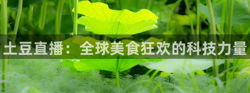 山猫体育免费赛事直播最新：土豆直播：全球美食狂欢的科技力量