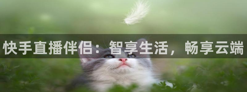 nba山猫直播体育：快手直播伴侣：智享生活，畅享云端